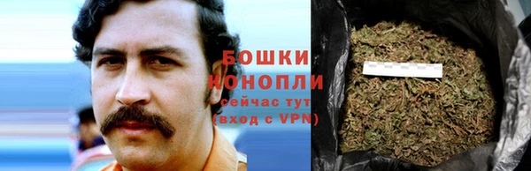 гидра Алексин