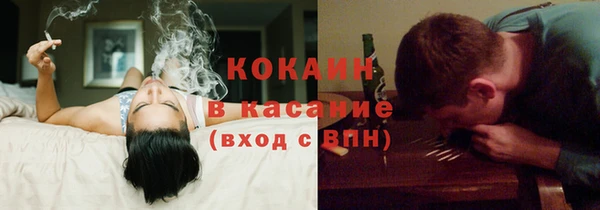 гидра Алексин