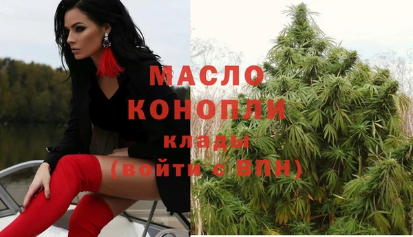 гидра Алексин
